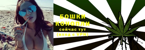 mdpv Краснослободск