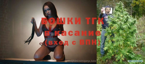 mdpv Краснослободск