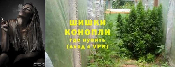 mdpv Краснослободск
