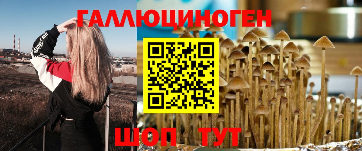 Псилоцибиновые грибы ЛСД  Вход с VPN  Прокопьевск 