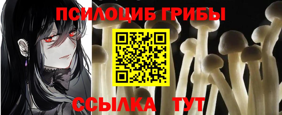 Псилоцибиновые грибы мухоморы  Прокопьевск 